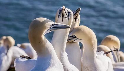 星空体育在线登录-中国三人女篮坚持科学训练，中国队三人女篮