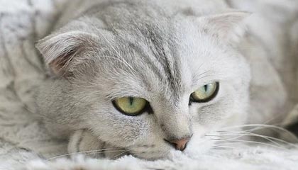 星空体育在线登录-地方篮球联赛蓬勃发展助力国家队选材